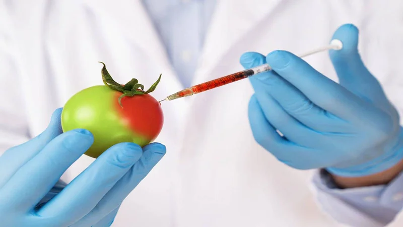 کالوکیشنها و اصطلاحات مربوط به تاپیک GM Food